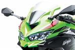 th 24MY Ninja ZX 4R SE GN1 DET 1.001