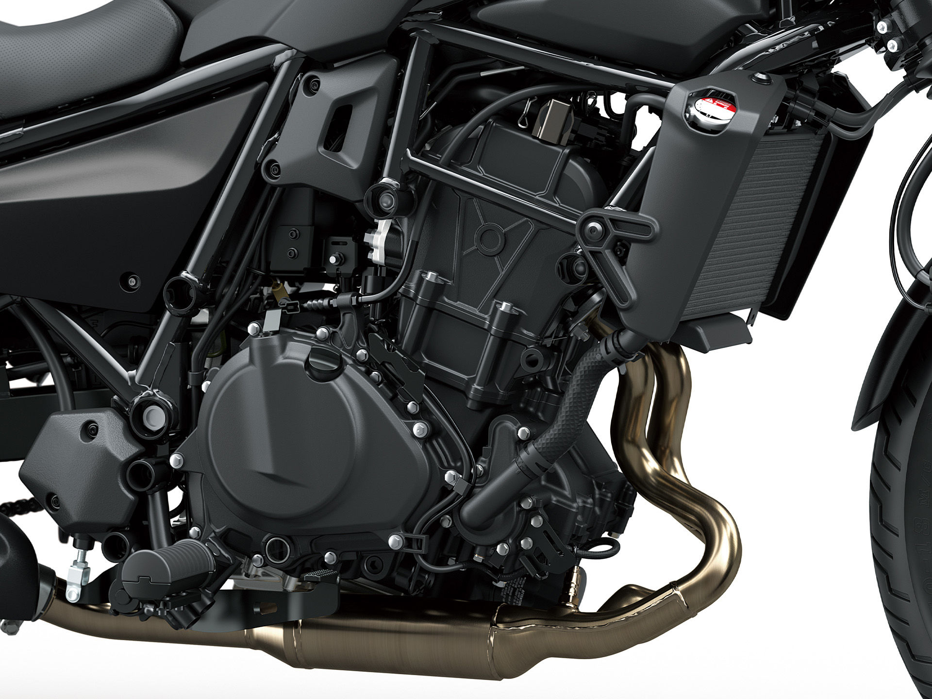 hi 24MY Eliminator 500 SE GY1 DET 5 