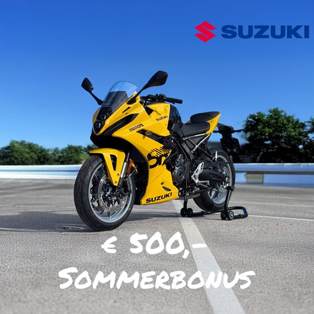 V Strom 800