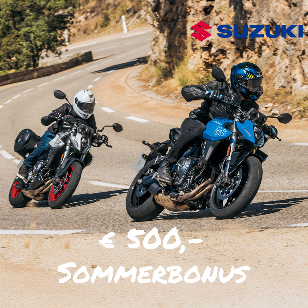 V Strom 800