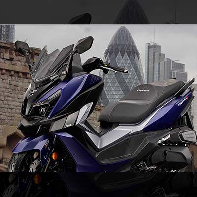CruiSym 300