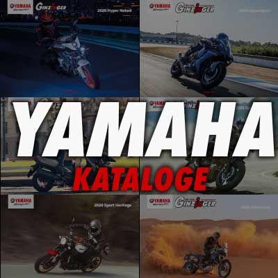 Katalog