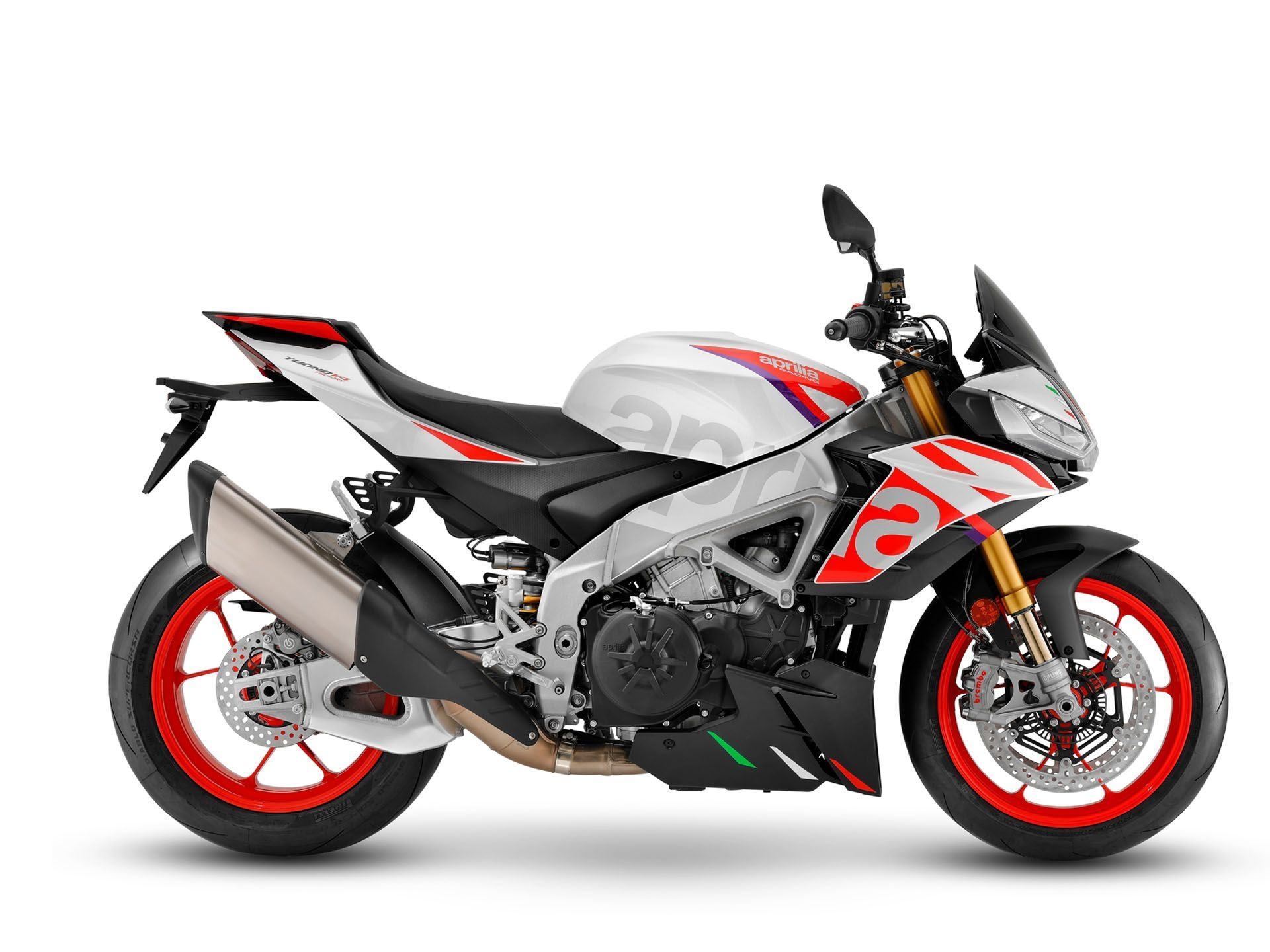 SPEED WHITE