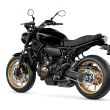 XSR 700 : Heritage Black