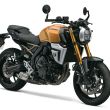 Suzuki GSX -8T