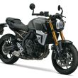 Suzuki GSX -8T