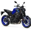 Icon Blue