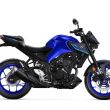Icon Blue
