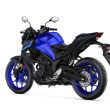 Icon Blue