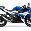 gsx-250r-02