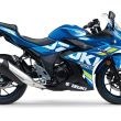 gsx-250r-06