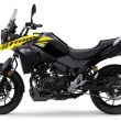 v-strom-250-03