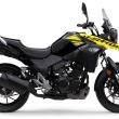 v-strom-250-05