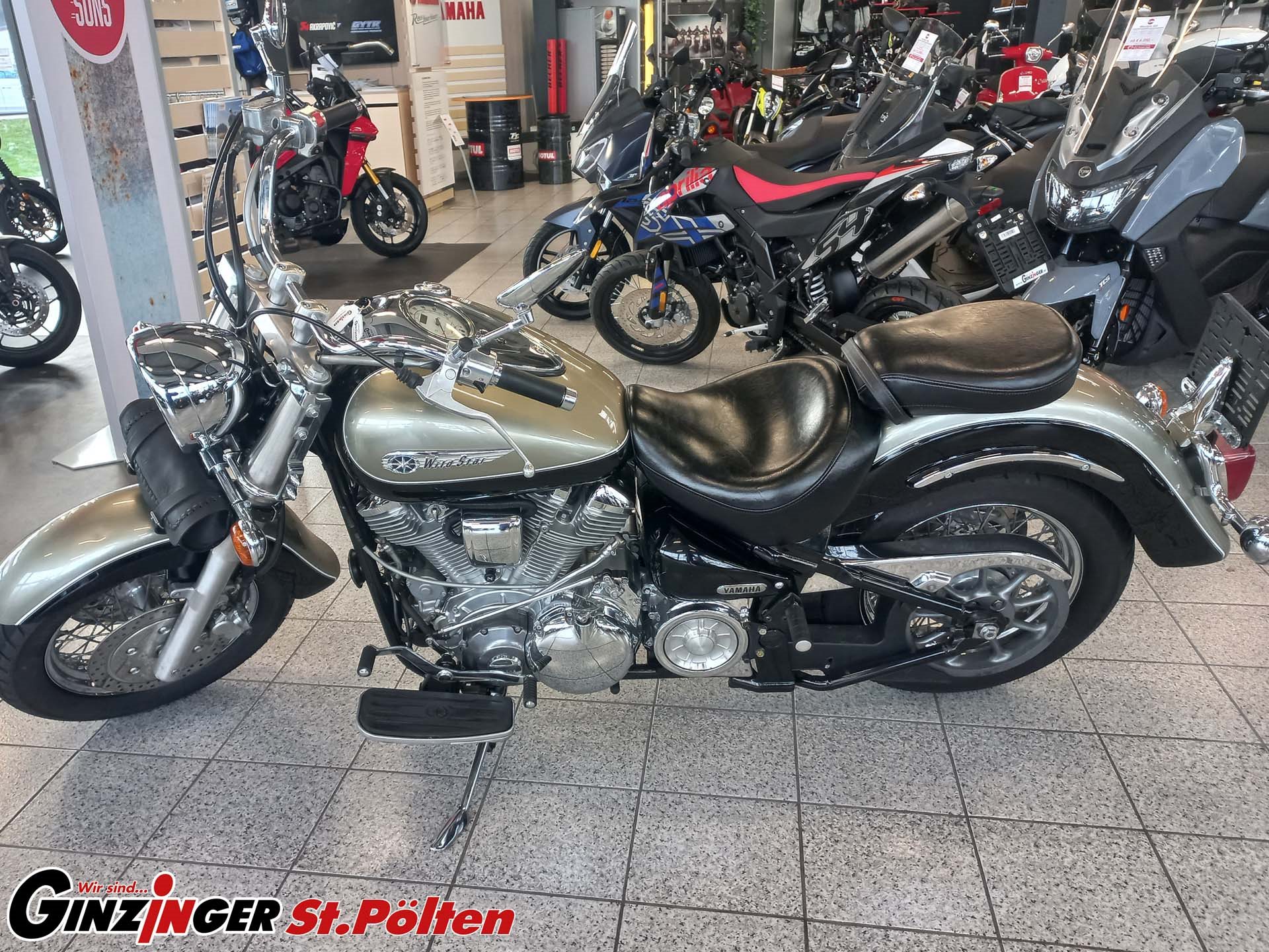 XV 1600 Wild Star